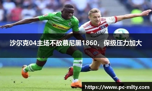 沙尔克04主场不敌慕尼黑1860，保级压力加大