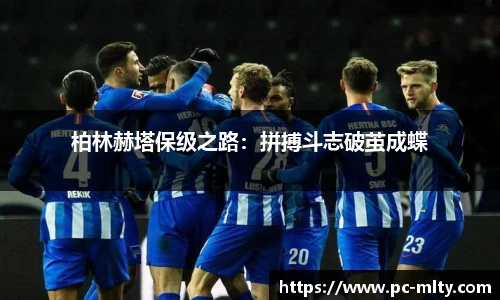 米兰体育下载