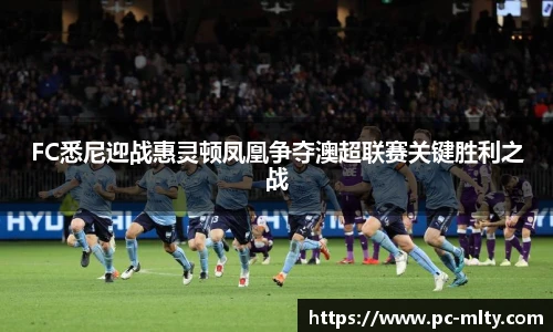米兰体育下载